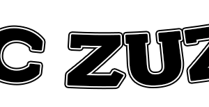 ACAPELLA – BOYZINHA (MC ZUZA) EXCLUSIVA 2018