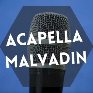 ACAPELLA TREYCE – PEDE COM CARINHO, ME PEGA DE 4( MALVADIN ) 140bpm